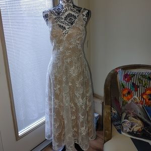 Dress the Population Lace Dress